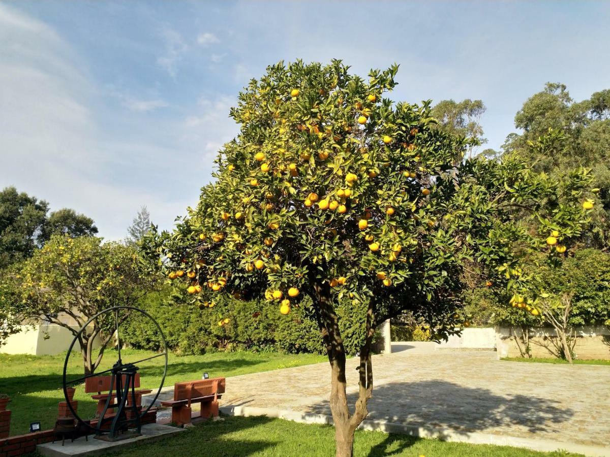 Metro Vilar Suites & Villas Vilar do Pinheiro Kültér fotó